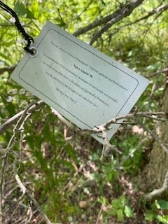 Tag on Nancys tree