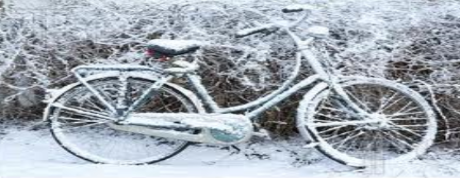 Braving the Elements to Stay PMC Ready. Winter Riding Tips