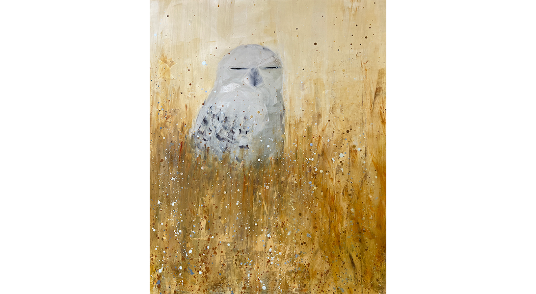 snowy-owl-rebecca-kinkead-update